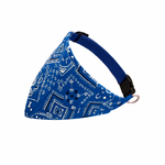 Blue Bandana Collar